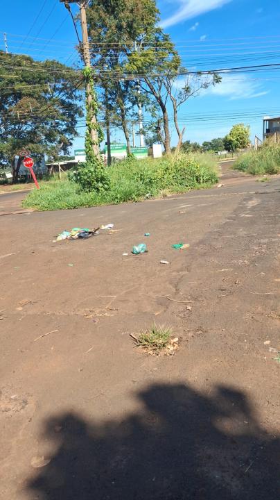 Foto 3 de 5 — 'Cadê a praça'? Moradores denunciam abandono de área pública em Araraquara